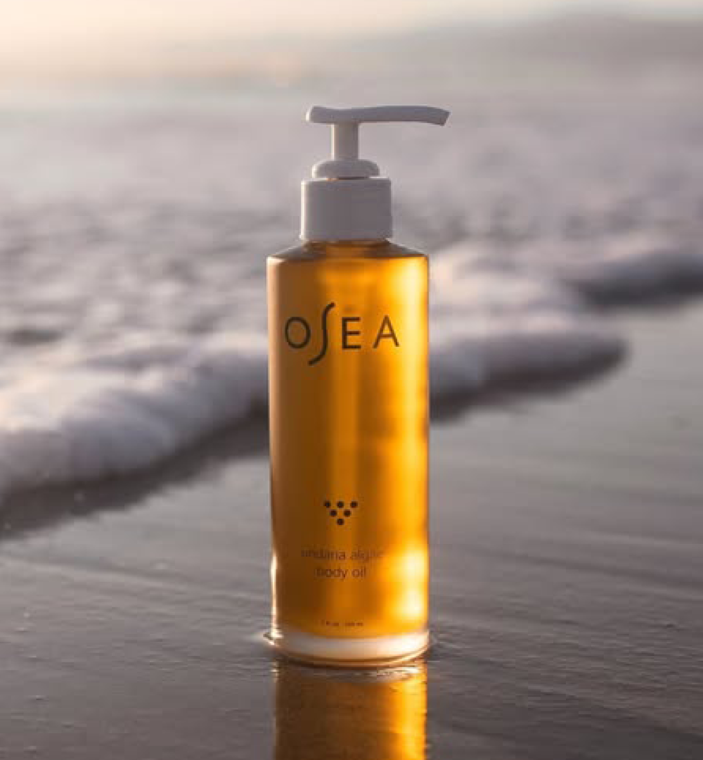 164283049_10158008786306439_6138647427506537044_n